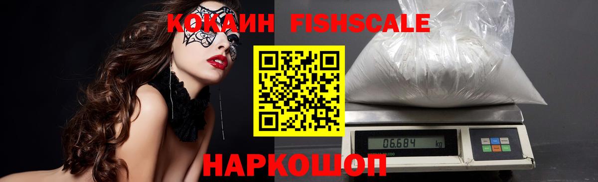 Жуковский  Кокаин Эквадор  Вход с VPN 