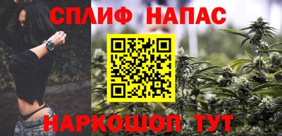 сатива Коммунар
