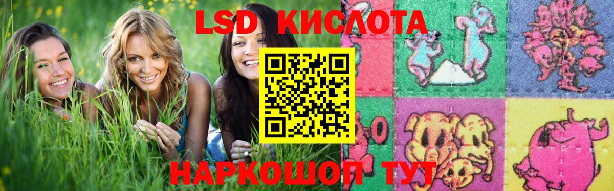 blacksprut зеркало  Лсд 25 экстази кислота  Жуковский  Вход с VPN  Лсд 25 экстази ecstasy 