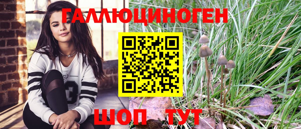 Псилоцибиновые грибы мицелий Жуковский