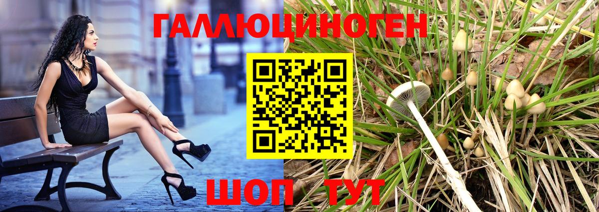 Галлюциногенные грибы GOLDEN TEACHER  Вход с VPN  Жуковский 