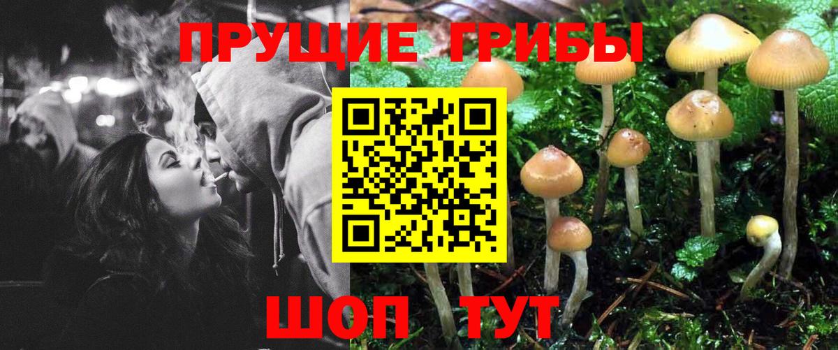 Кокаин  МЕФ  ГЕРОИН  LSD-25  МЕТ  Вход с VPN  Жуковский  ГАШИШ  Меф МЯУ МЯУ   НБОМе 