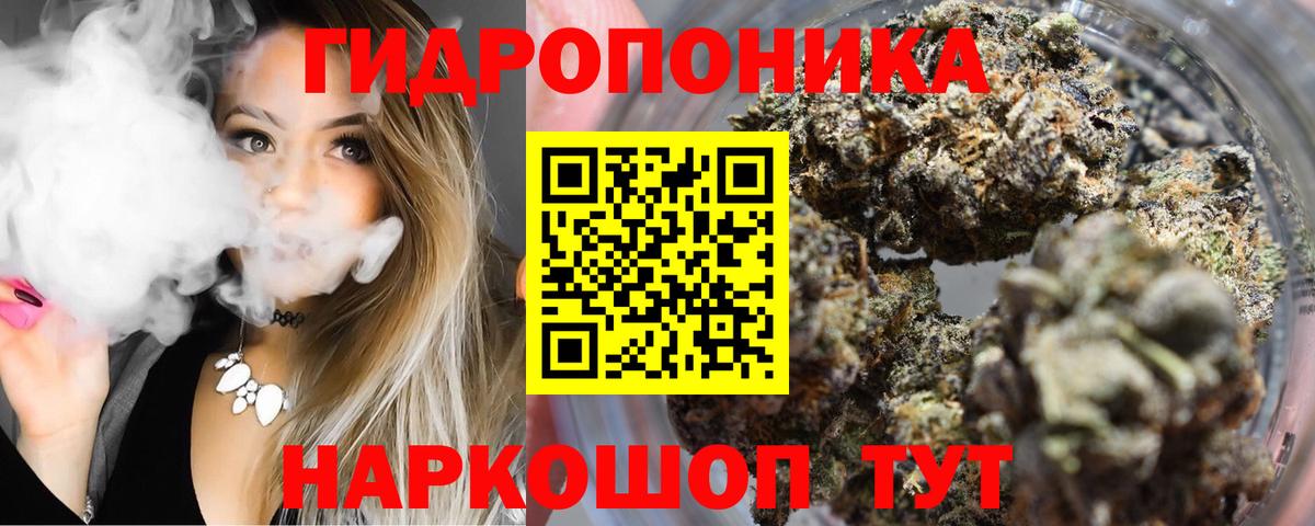 Жуковский  Шишки марихуана марихуана  Вход с VPN  Бошки марихуана индика 